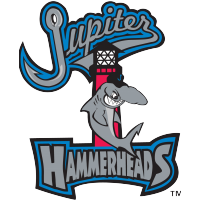 Hammerheads Drop Series Opener to Mets
