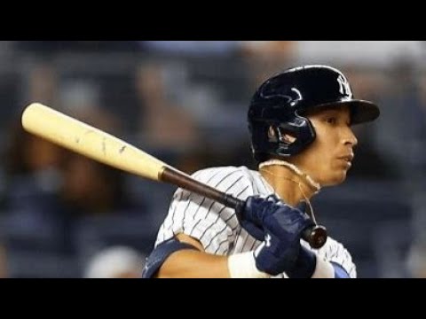 Yankee Bats ERUPT on TB, look like old Selves || Recap and Highlights