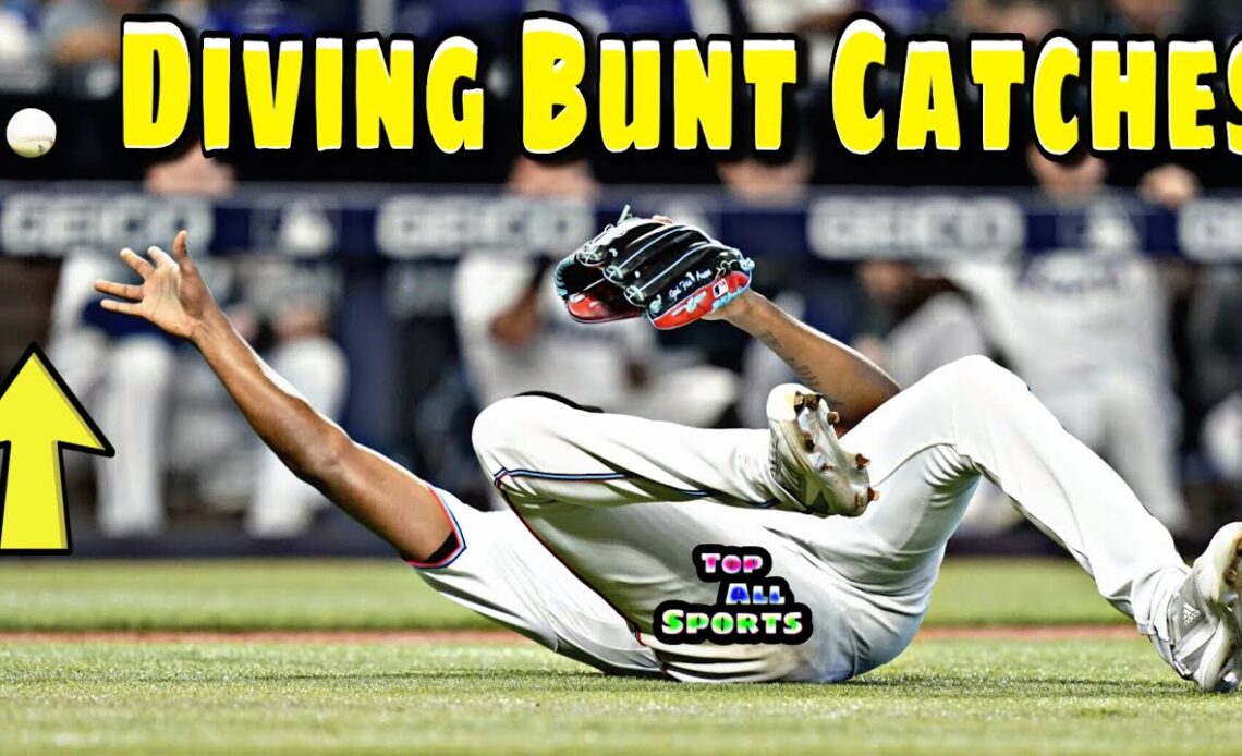 MLB \ Diving Bunt Catches