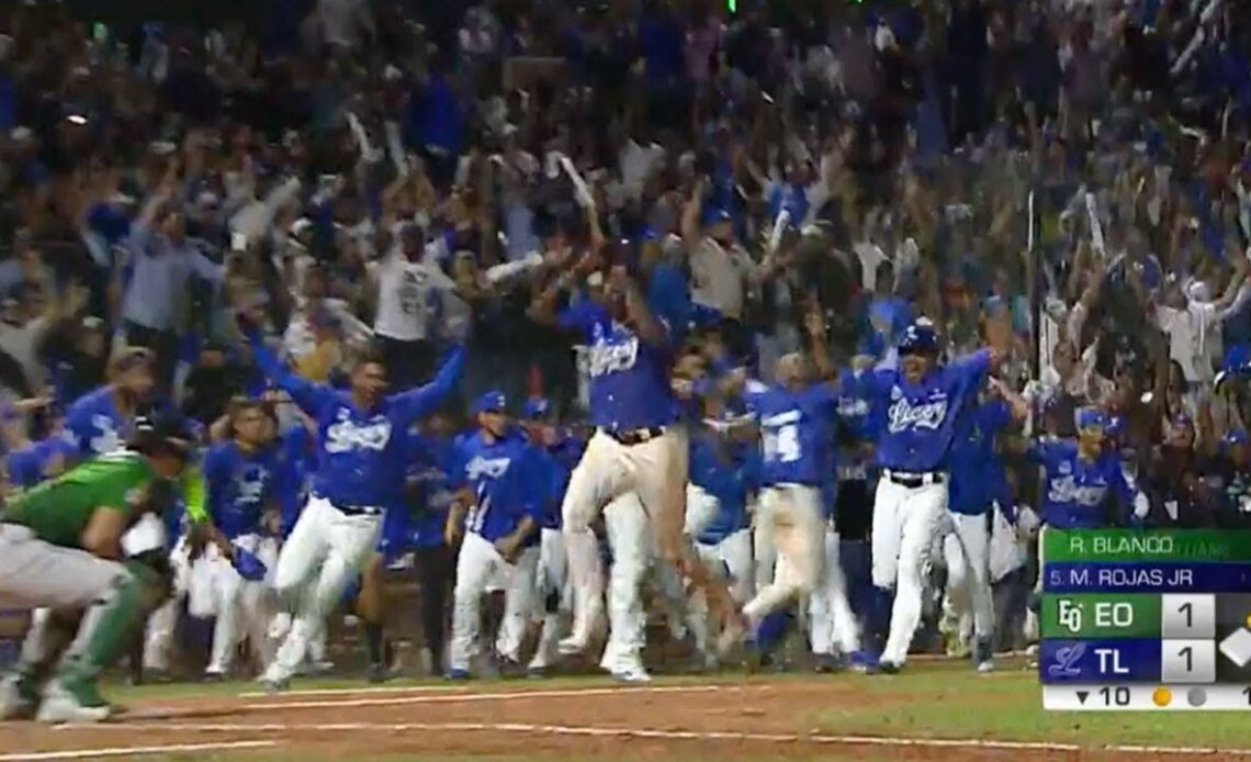 The LIDOM Championship Series was ELECTRIC! (Licey wins 4 games to 1) | Full Tournament Recap