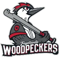 Woodpeckers Celebrate Second Annual Nonprofit Gala