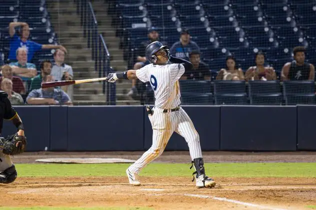 Tampa Tarpons' Roderick Arias at bat