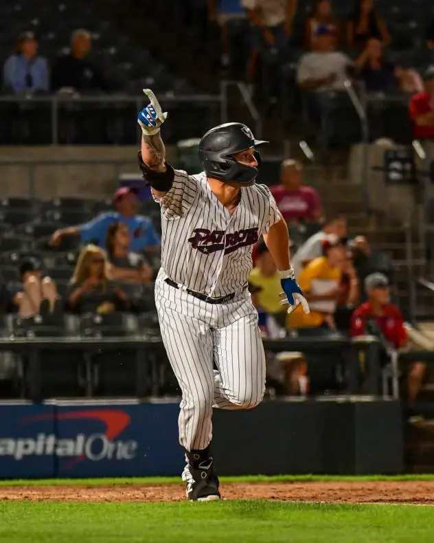 Somerset Patriots outfielder Elijah Dunham