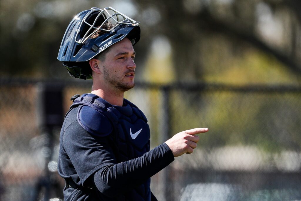 Tigers Recall Dillon Dingler, Select Bryan Sammons