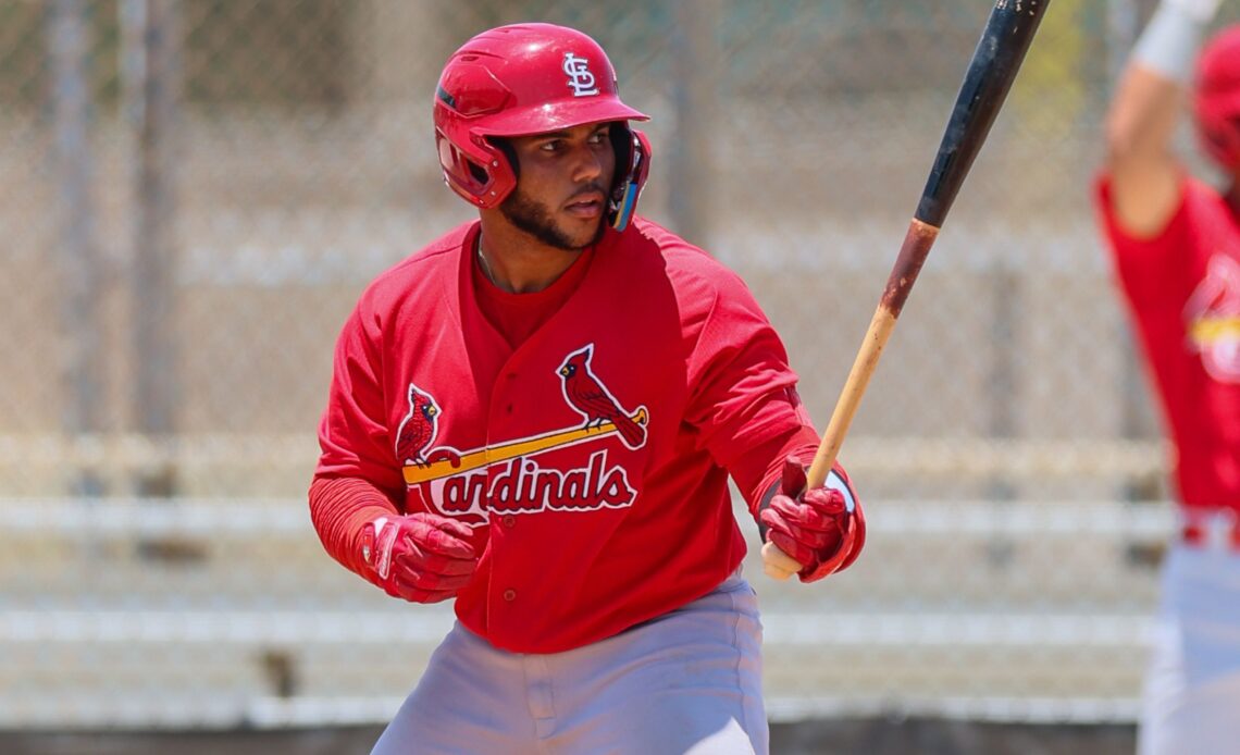 10 MLB Hitting Prospects With Intriguing Complex League Data So Far In 2025