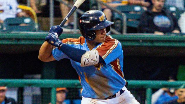 Montgomery Biscuits' Jadher Areinamo at bat