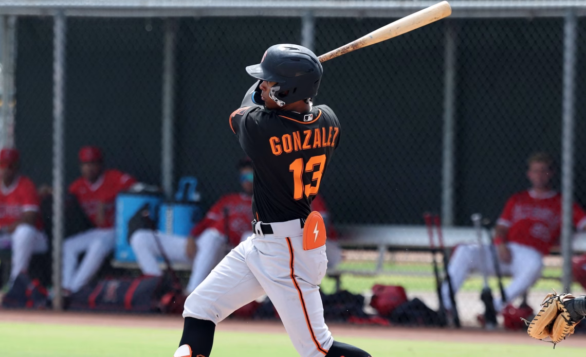 Top 35 Dominican Summer League Prospects In 2025